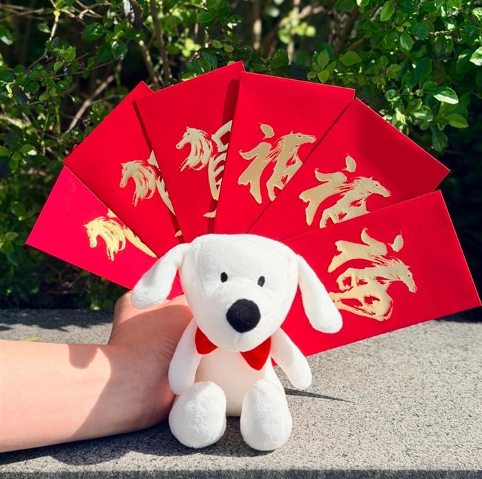 台新Richart年終放大術來了 美元定存最高6%