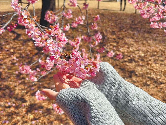 保健》今迎立春 調養身體重返節律